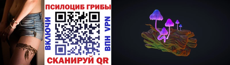 Псилоцибиновые грибы Cubensis  Купить закладки  Никольск 